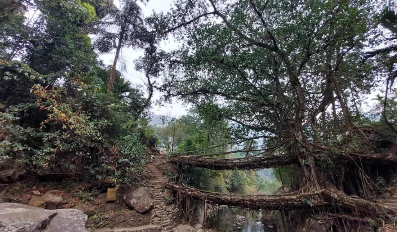 Odyssey Stays Nongriat - 3Kms Trek From Main Road Cherrapunji Exteriör bild