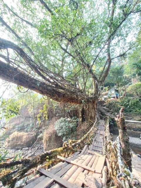 Odyssey Stays Nongriat - 3Kms Trek From Main Road Cherrapunji Exteriör bild