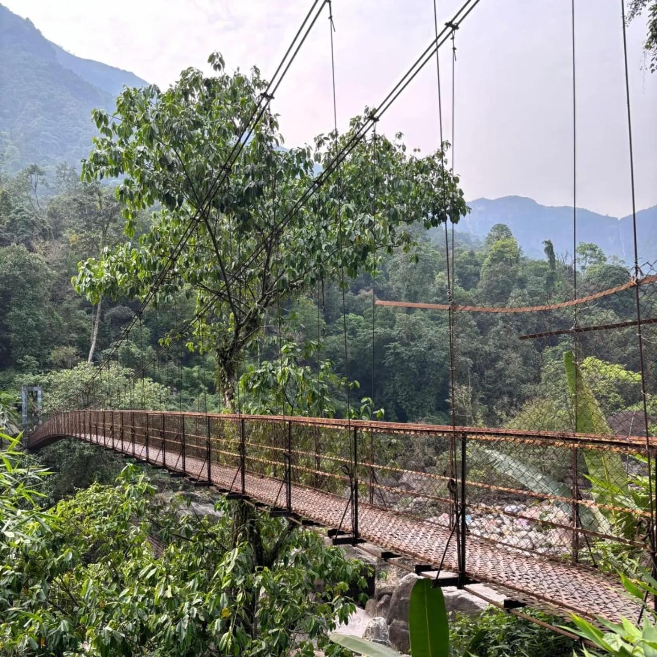 Odyssey Stays Nongriat - 3Kms Trek From Main Road Cherrapunji Exteriör bild