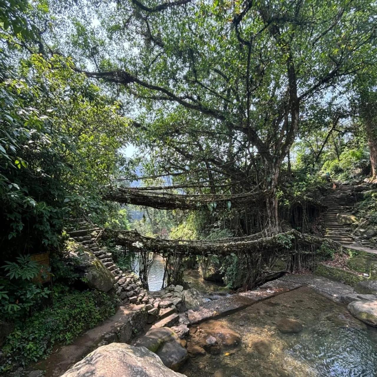 Odyssey Stays Nongriat - 3Kms Trek From Main Road Cherrapunji Exteriör bild